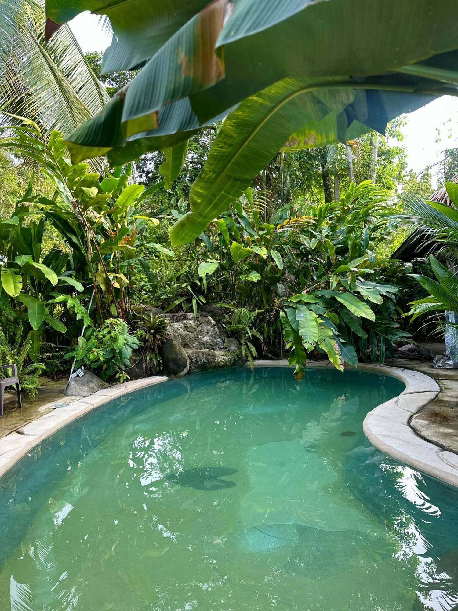 Conga Boutique Hotel Puerto Viejo de Talamanca ภายนอก รูปภาพ