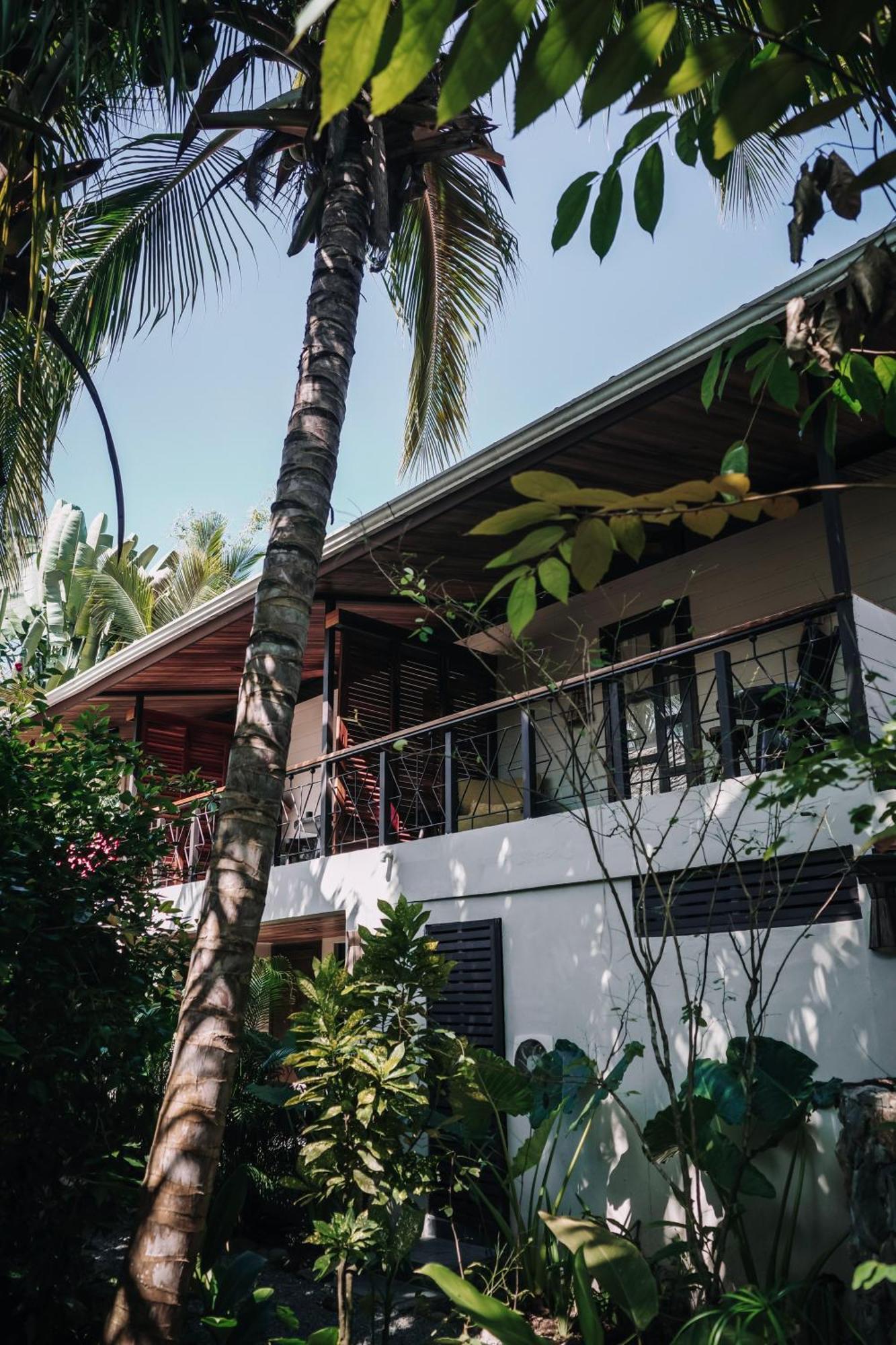 Conga Boutique Hotel Puerto Viejo de Talamanca ภายนอก รูปภาพ