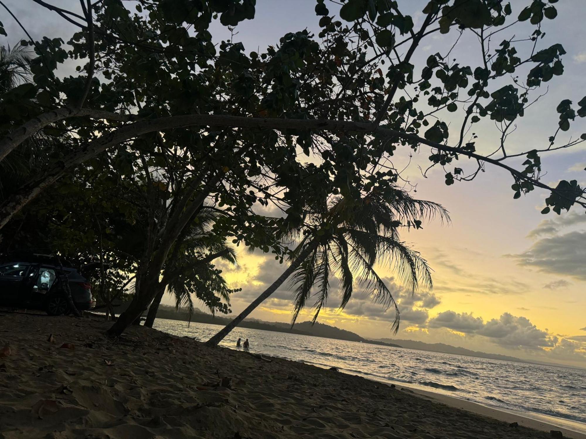 Conga Boutique Hotel Puerto Viejo de Talamanca ภายนอก รูปภาพ