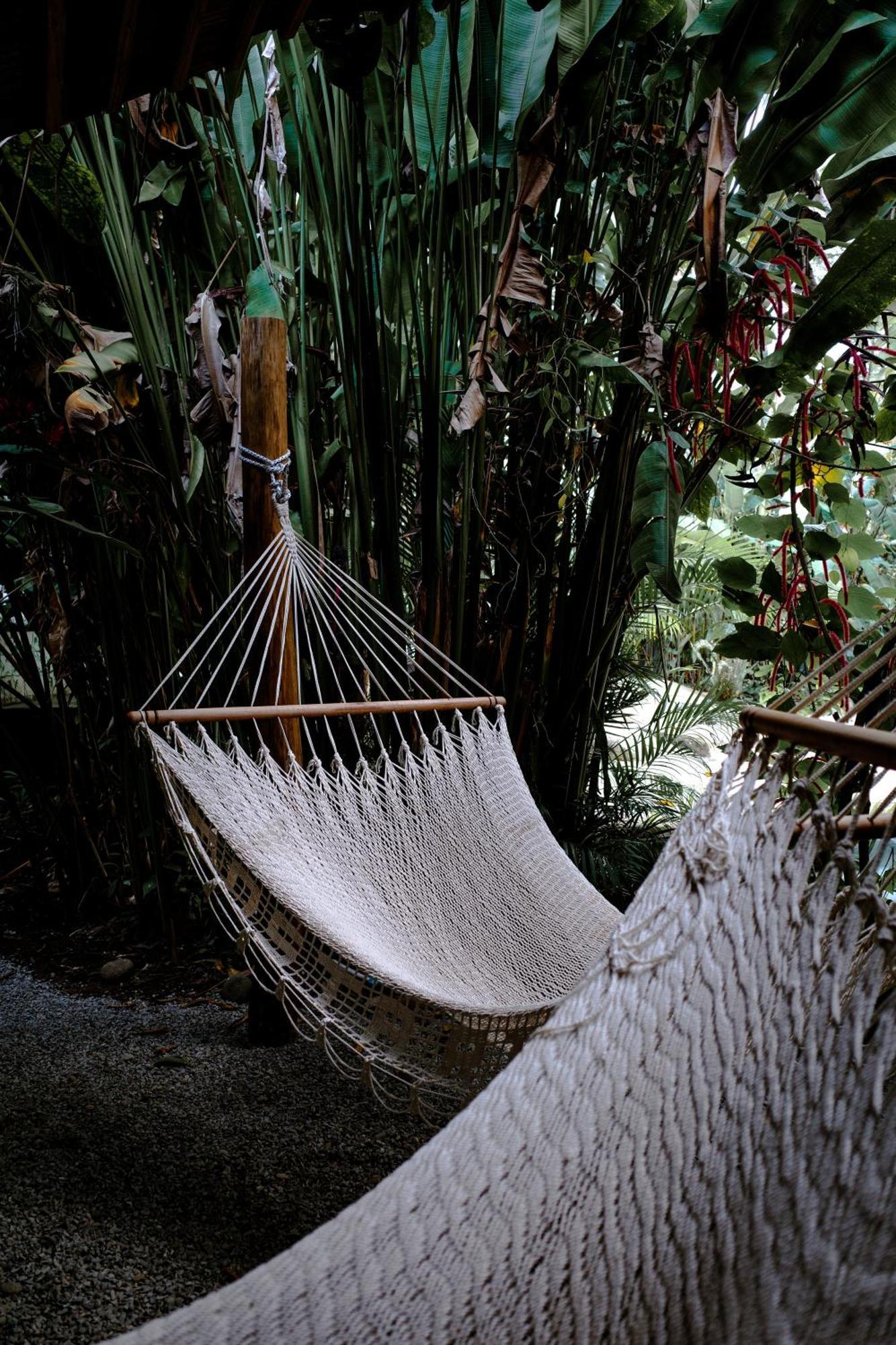 Conga Boutique Hotel Puerto Viejo de Talamanca ภายนอก รูปภาพ