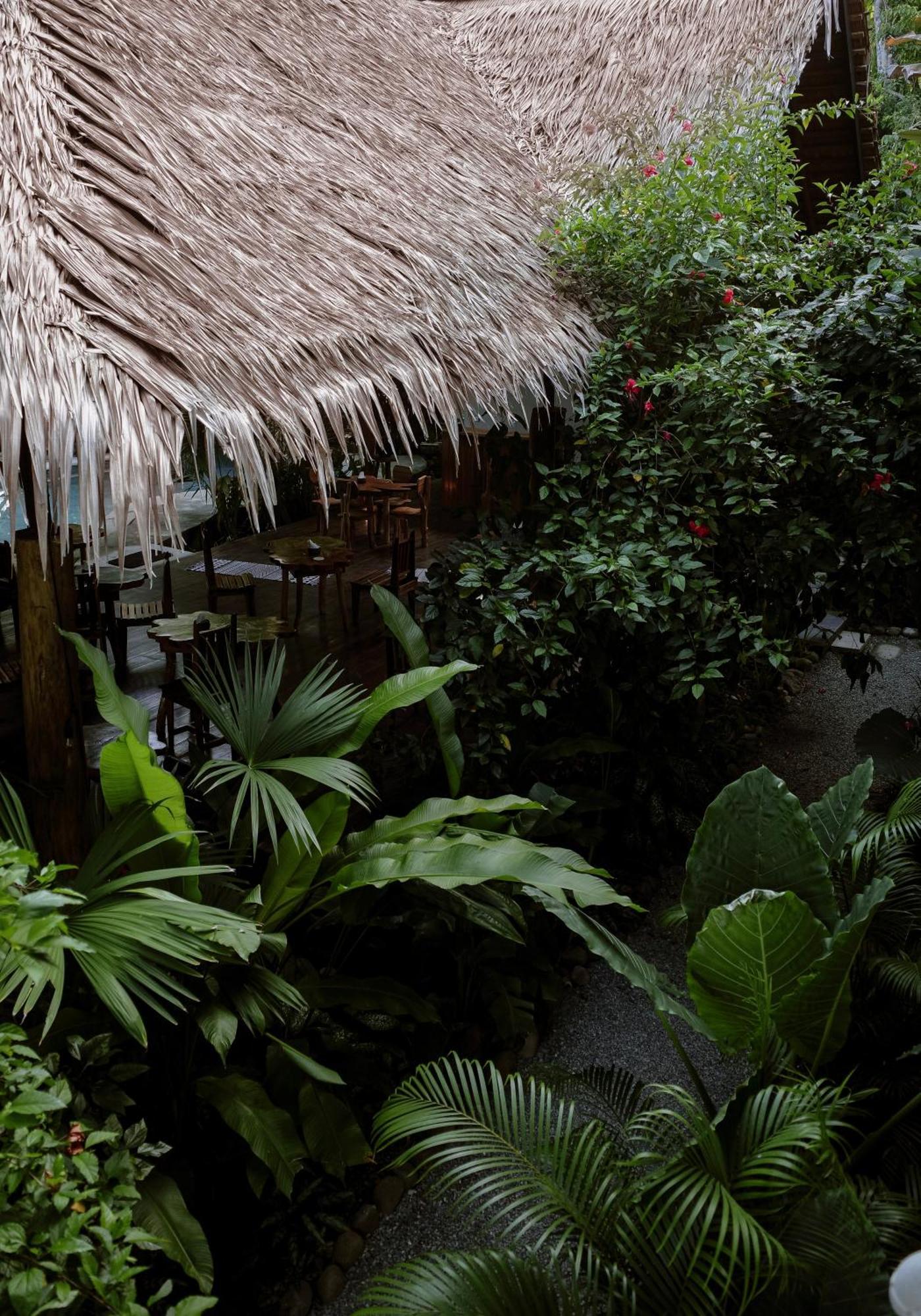Conga Boutique Hotel Puerto Viejo de Talamanca ภายนอก รูปภาพ