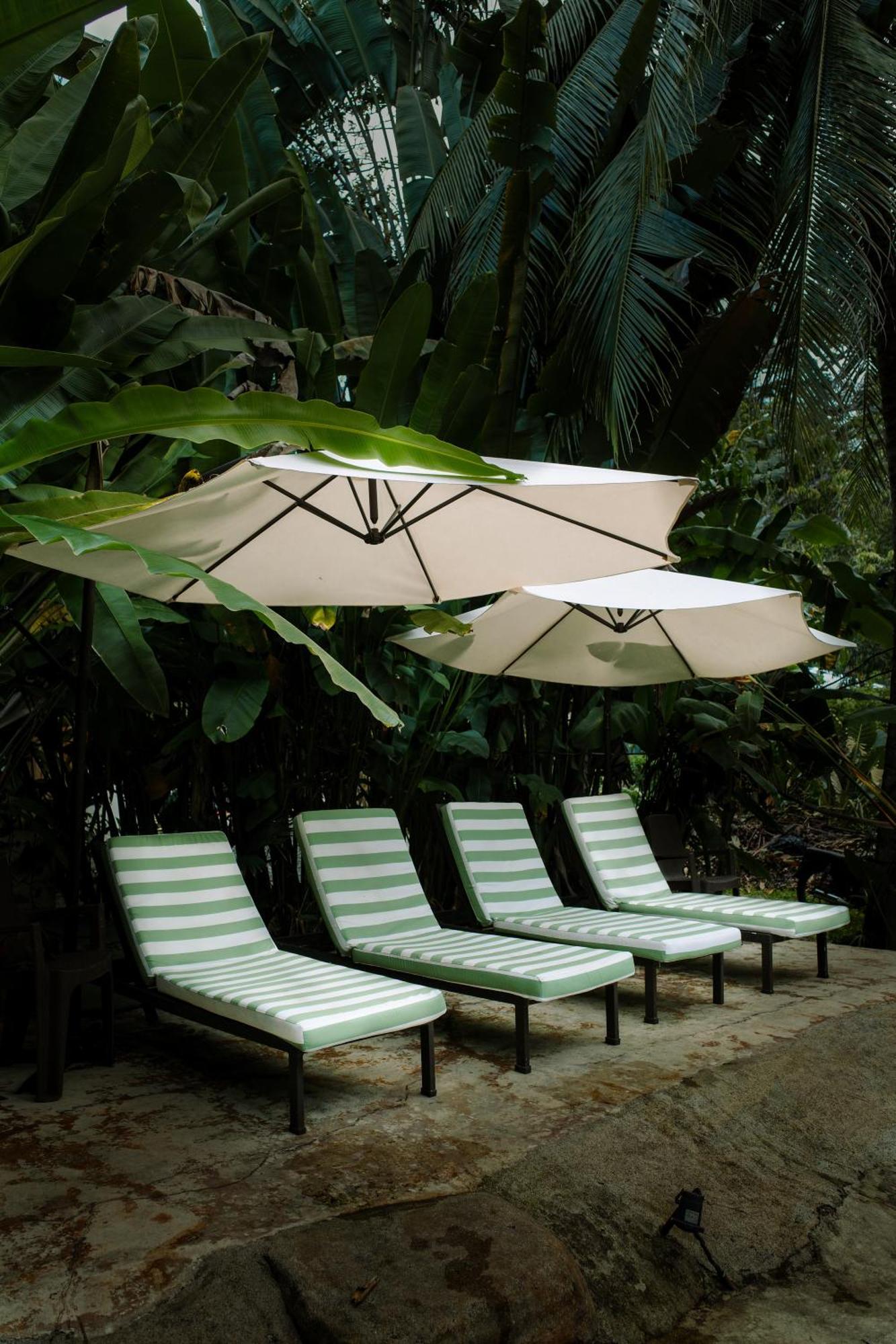 Conga Boutique Hotel Puerto Viejo de Talamanca ภายนอก รูปภาพ
