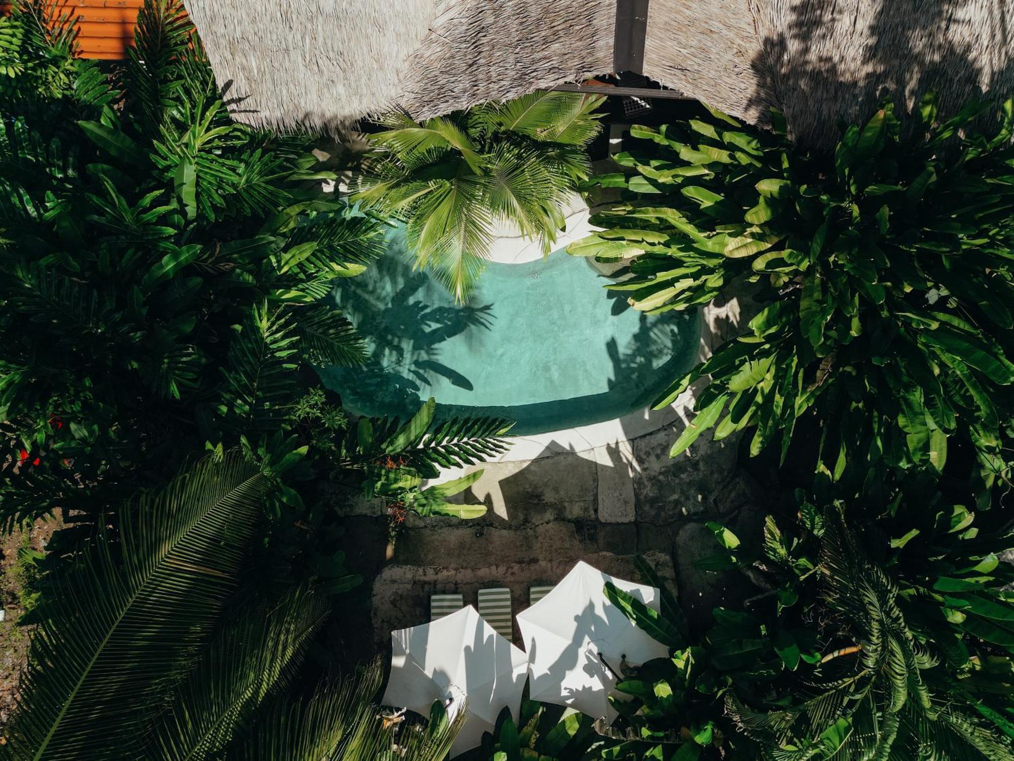 Conga Boutique Hotel Puerto Viejo de Talamanca ภายนอก รูปภาพ