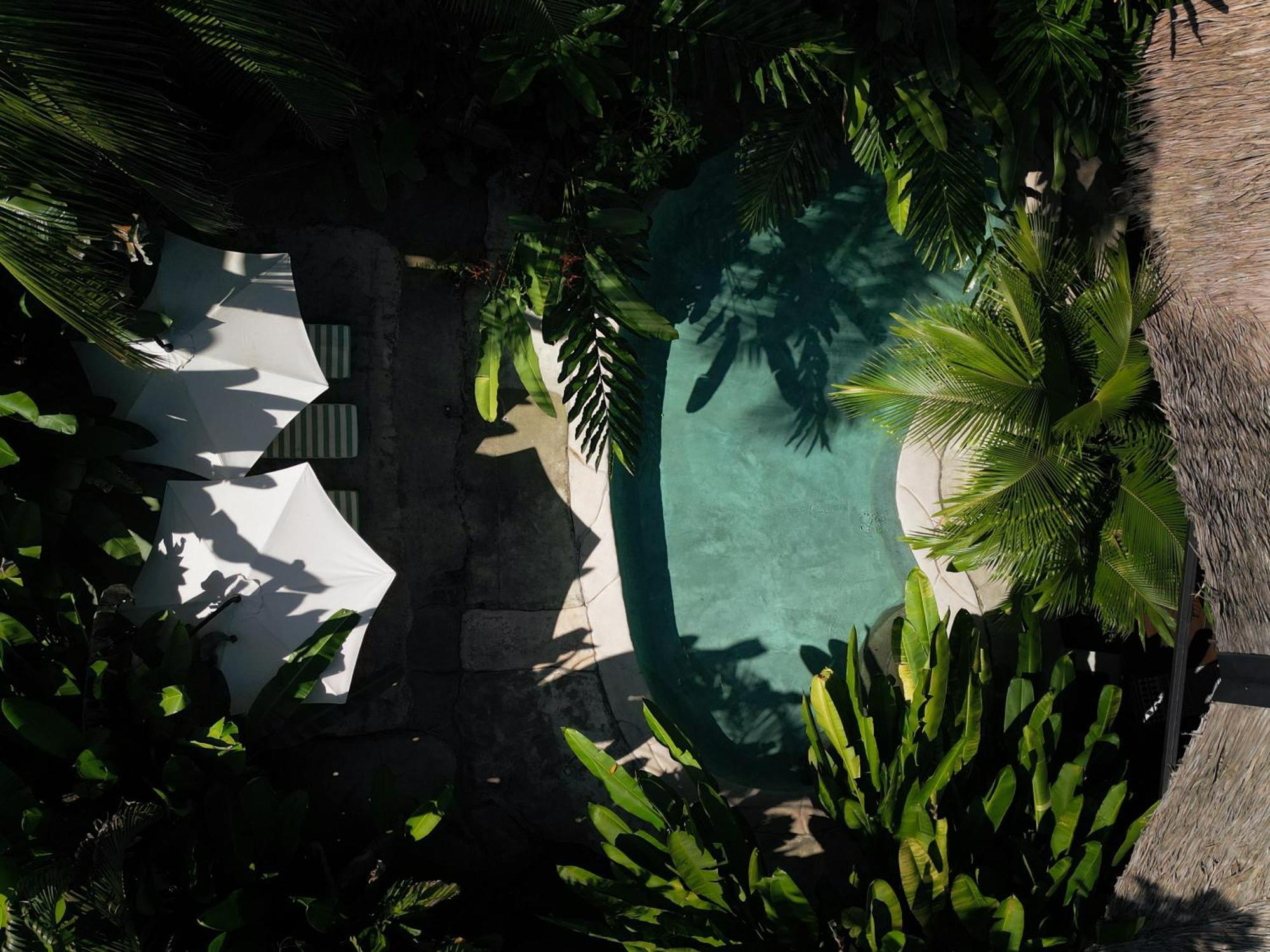 Conga Boutique Hotel Puerto Viejo de Talamanca ภายนอก รูปภาพ