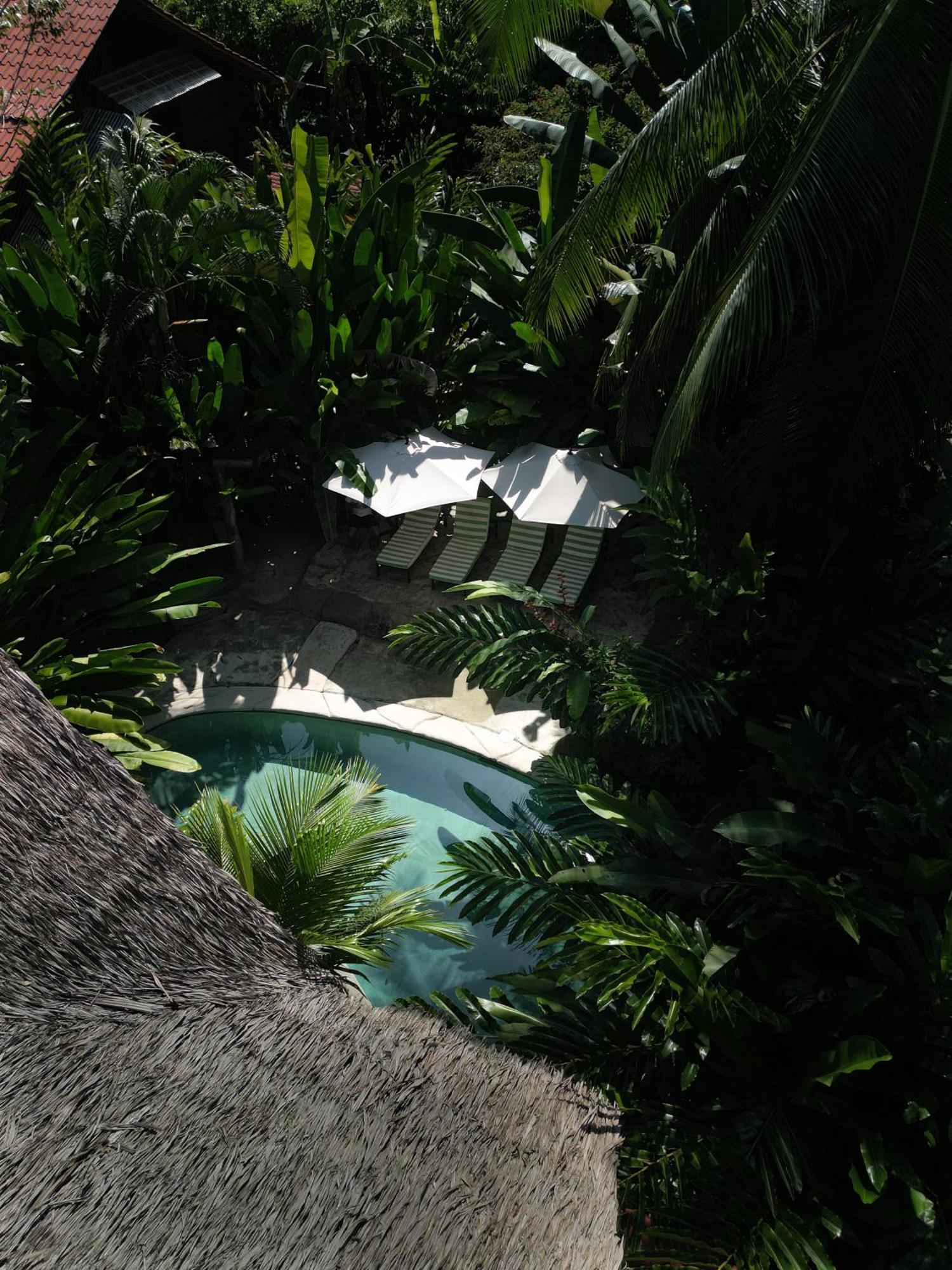 Conga Boutique Hotel Puerto Viejo de Talamanca ภายนอก รูปภาพ